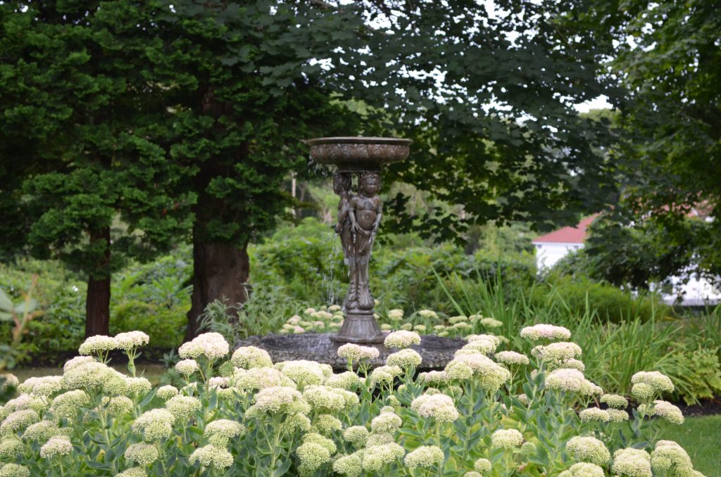 Picture of fountain amongst the flora on nature walk 