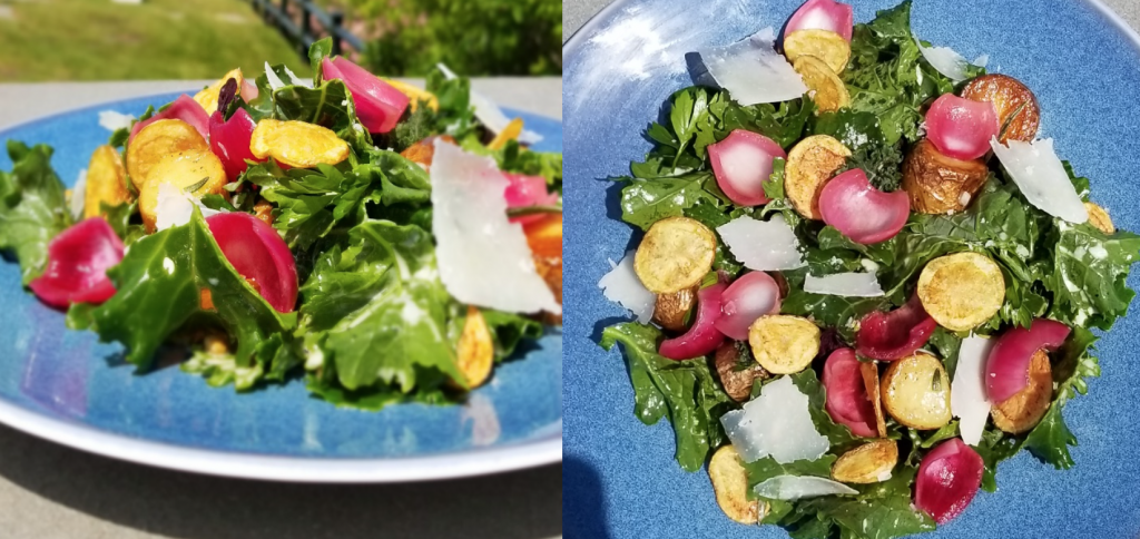 Garden Kale Salad (top and side view)